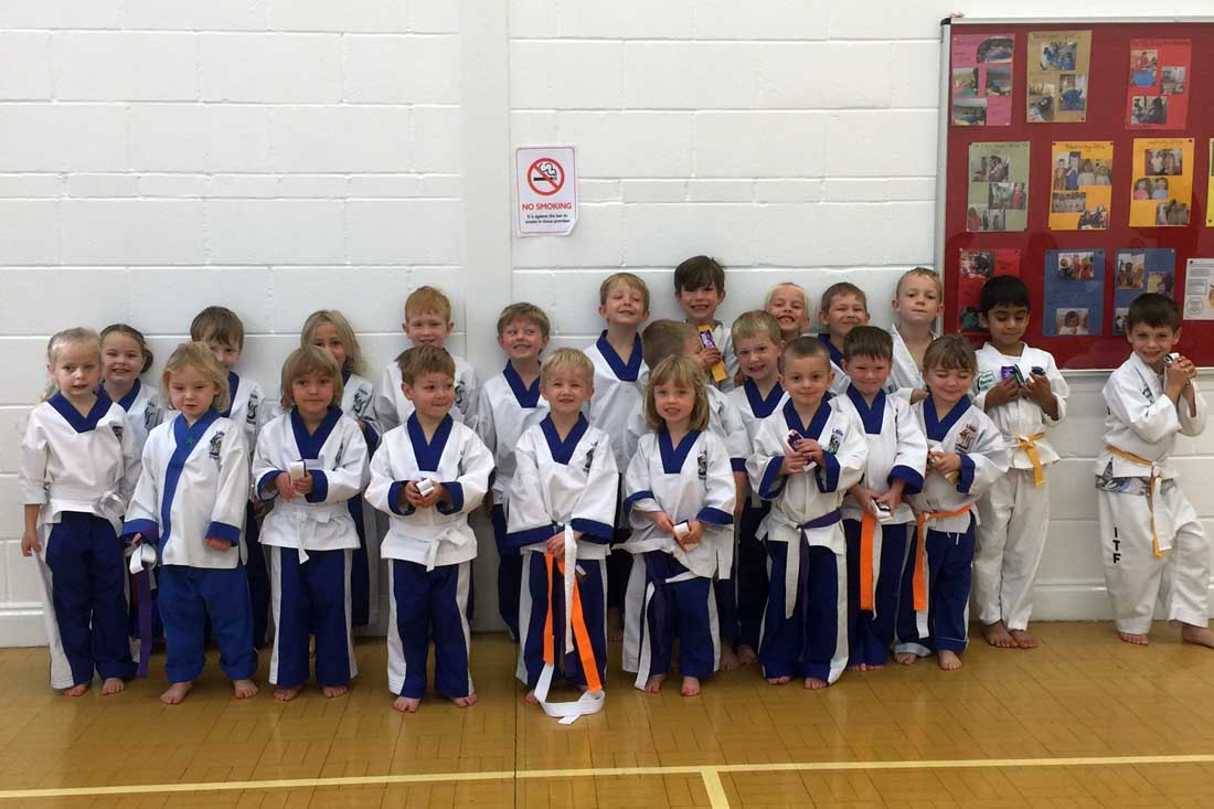 Little Dragons Grading September 2015